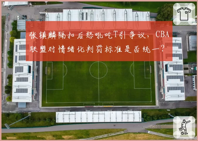 张镇麟隔扣后怒吼吃T引争议，CBA联盟对情绪化判罚标准是否统一？