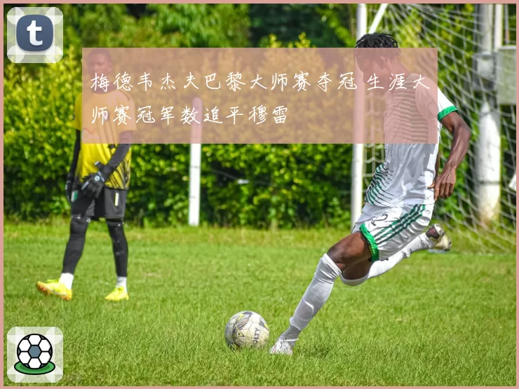 梅德韦杰夫巴黎大师赛夺冠 生涯大师赛冠军数追平穆雷