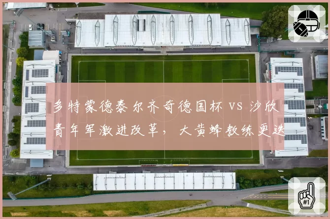 多特蒙德泰尔齐奇德国杯 vs 沙欣青年军激进改革，大黄蜂教练更迭两重天