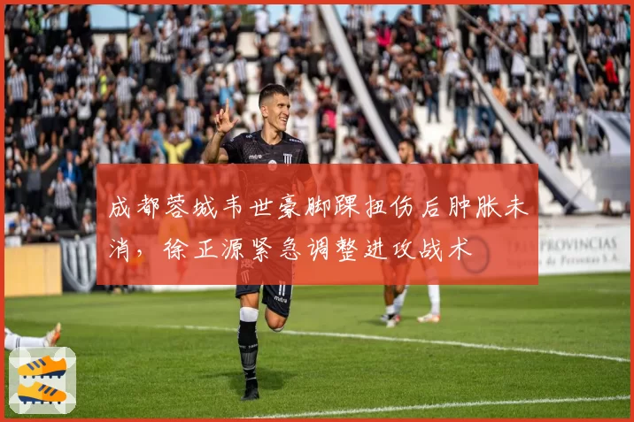 成都蓉城韦世豪脚踝扭伤后肿胀未消,徐正源紧急调整进攻战术