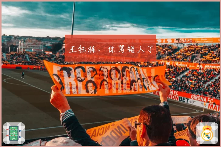 王钰栋，你骂错人了