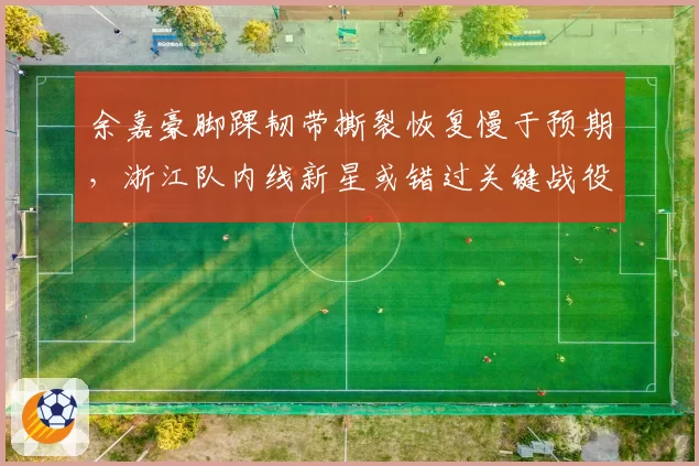 余嘉豪脚踝韧带撕裂恢复慢于预期，浙江队内线新星或错过关键战役