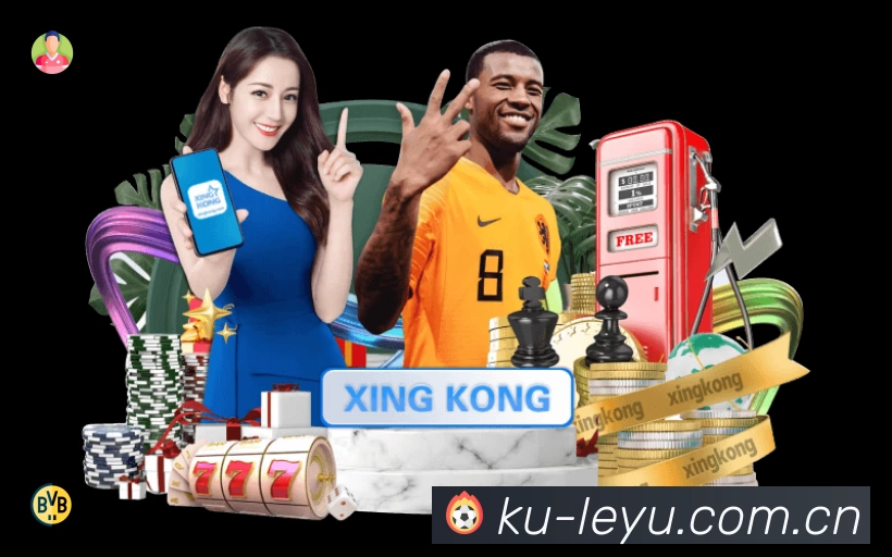 全球访问热力分布图